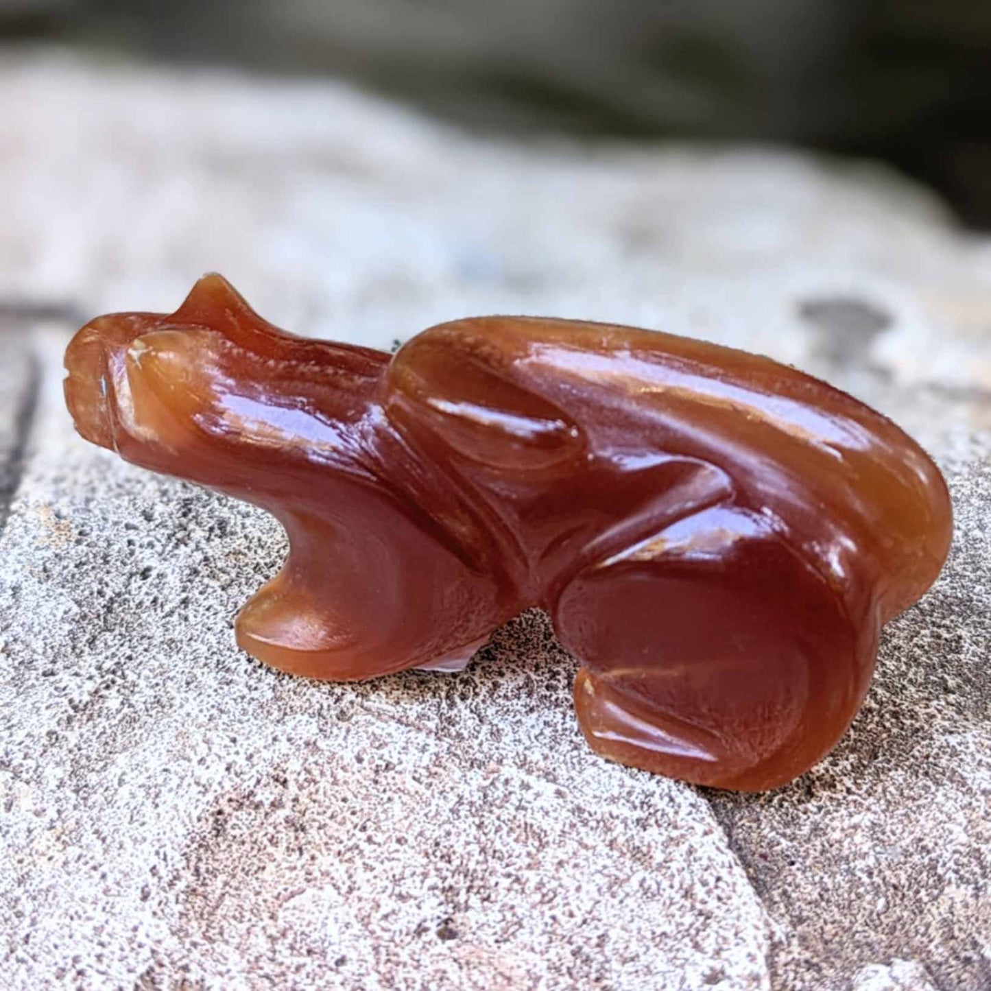 Carnelian Mountain Lion Fetish