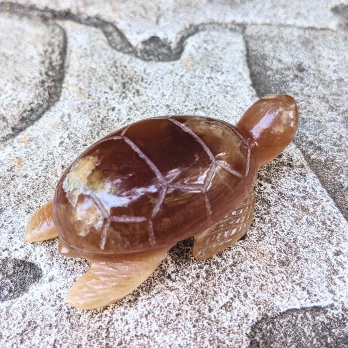 Carnelian Turtle Fetish