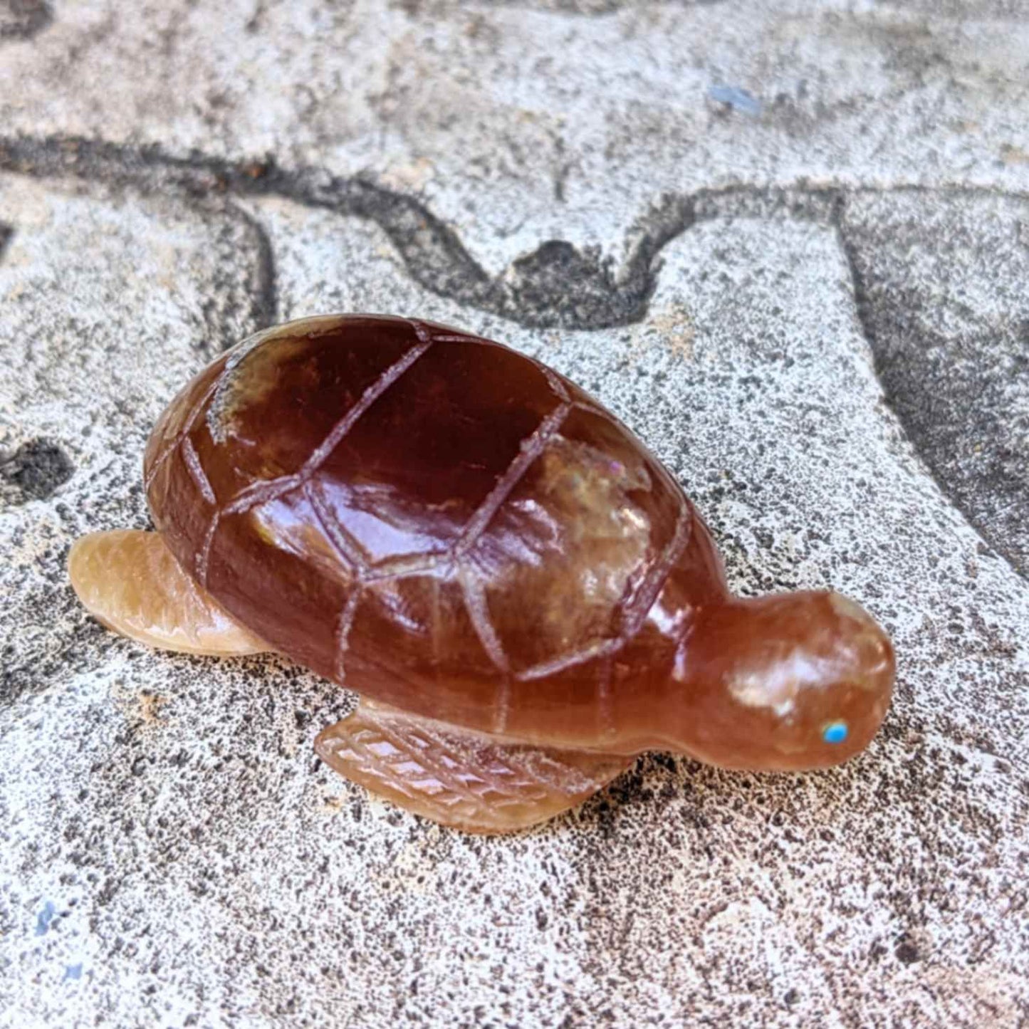 Carnelian Turtle Fetish