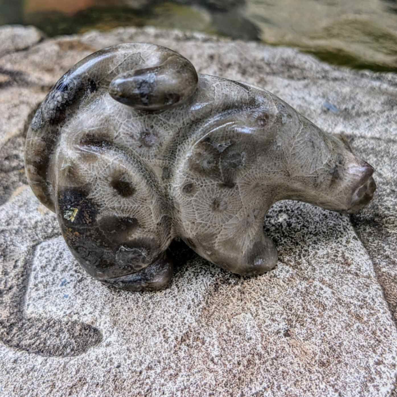 Mountain Lion Petoskey Fossil Fetish by Rosella Sooseah