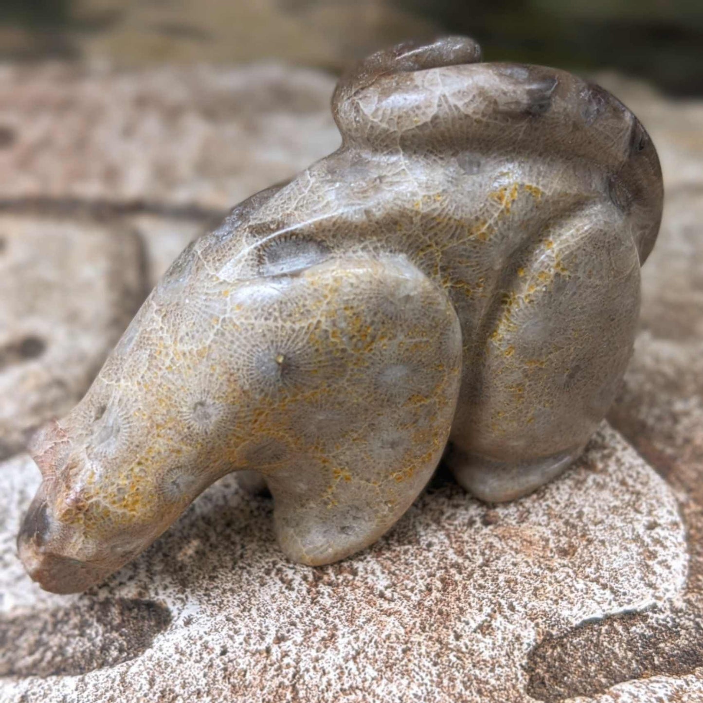 Mountain Lion Petoskey Fossil Fetish by Rosella Sooseah