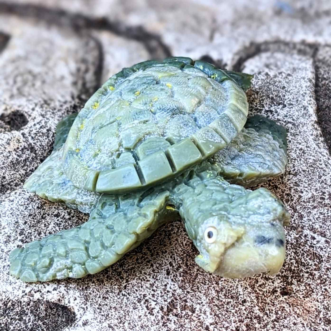 Serpentine Turtle Fetish by Derrick Kaamasee