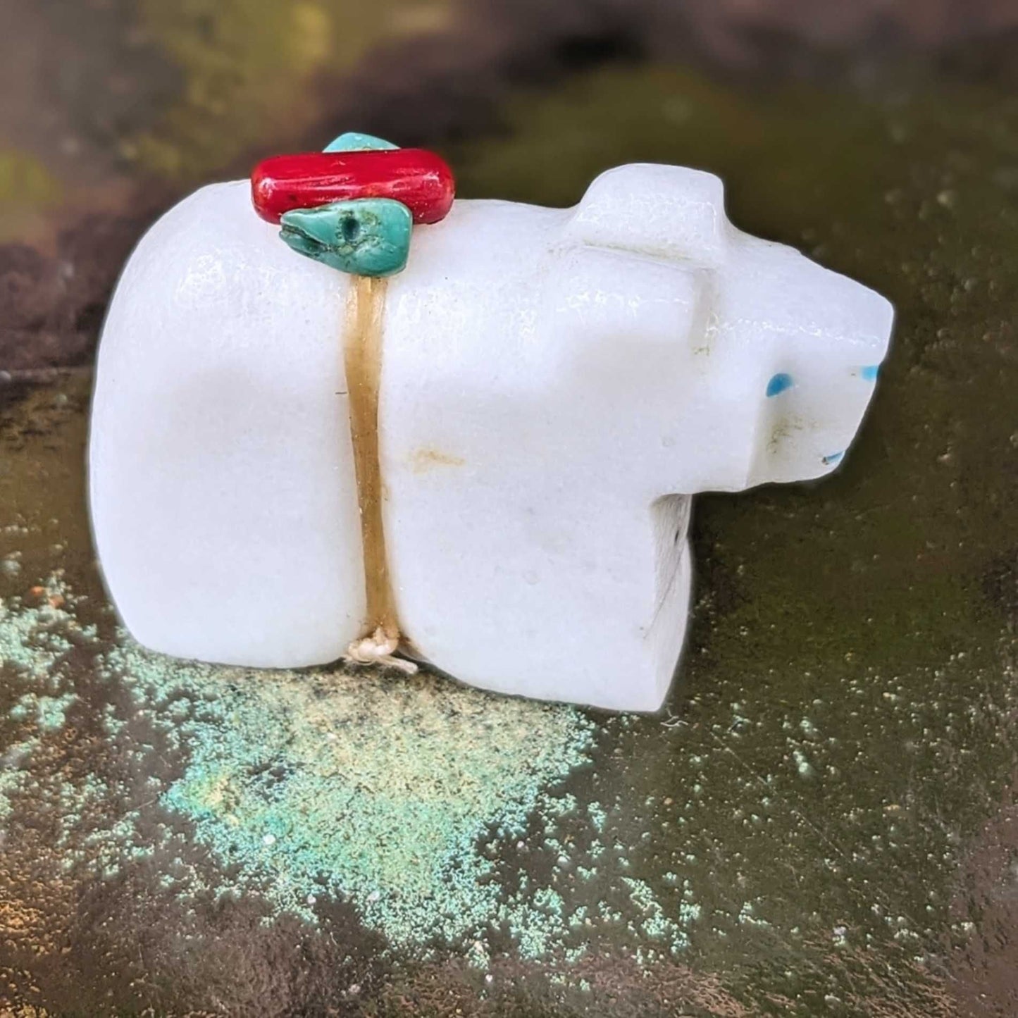 Sweet Little Zuni Bear Fetish by Benny Bacy