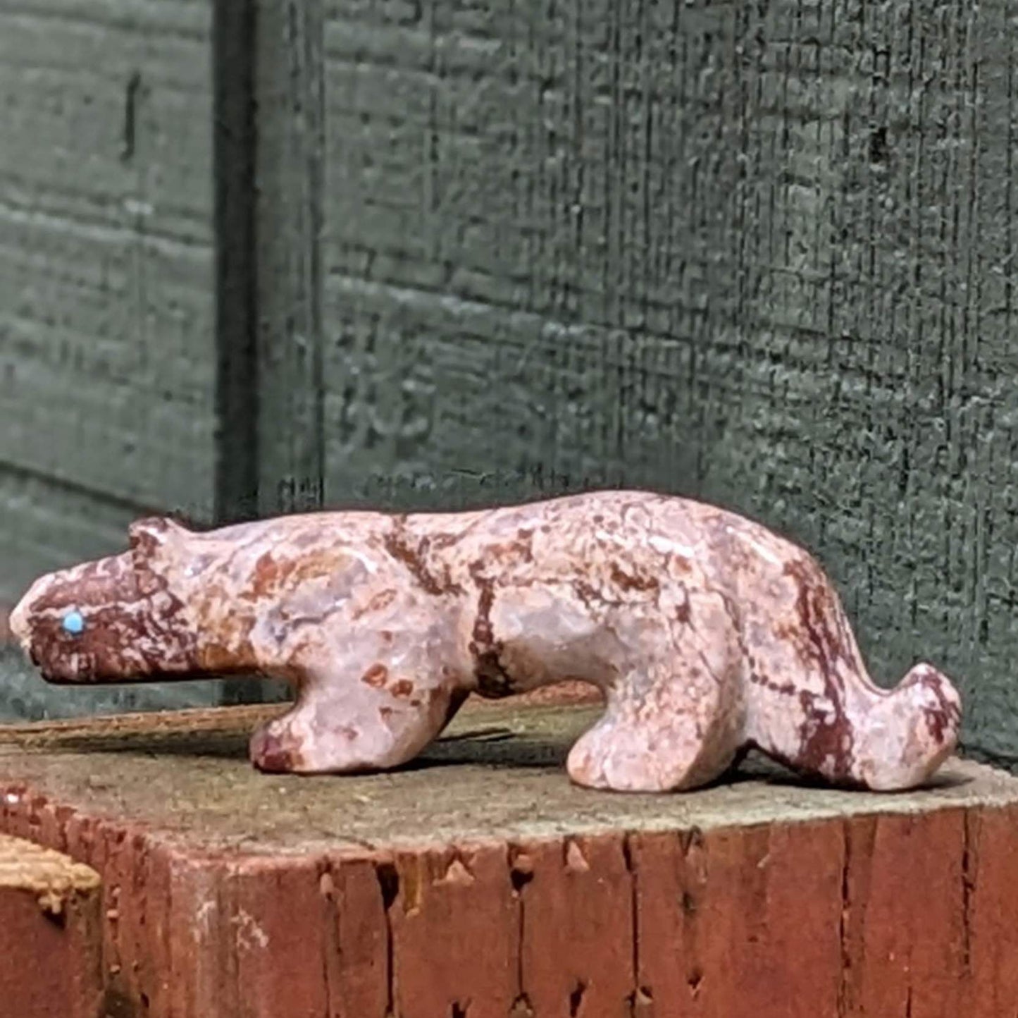 Mountain Lion Fetish