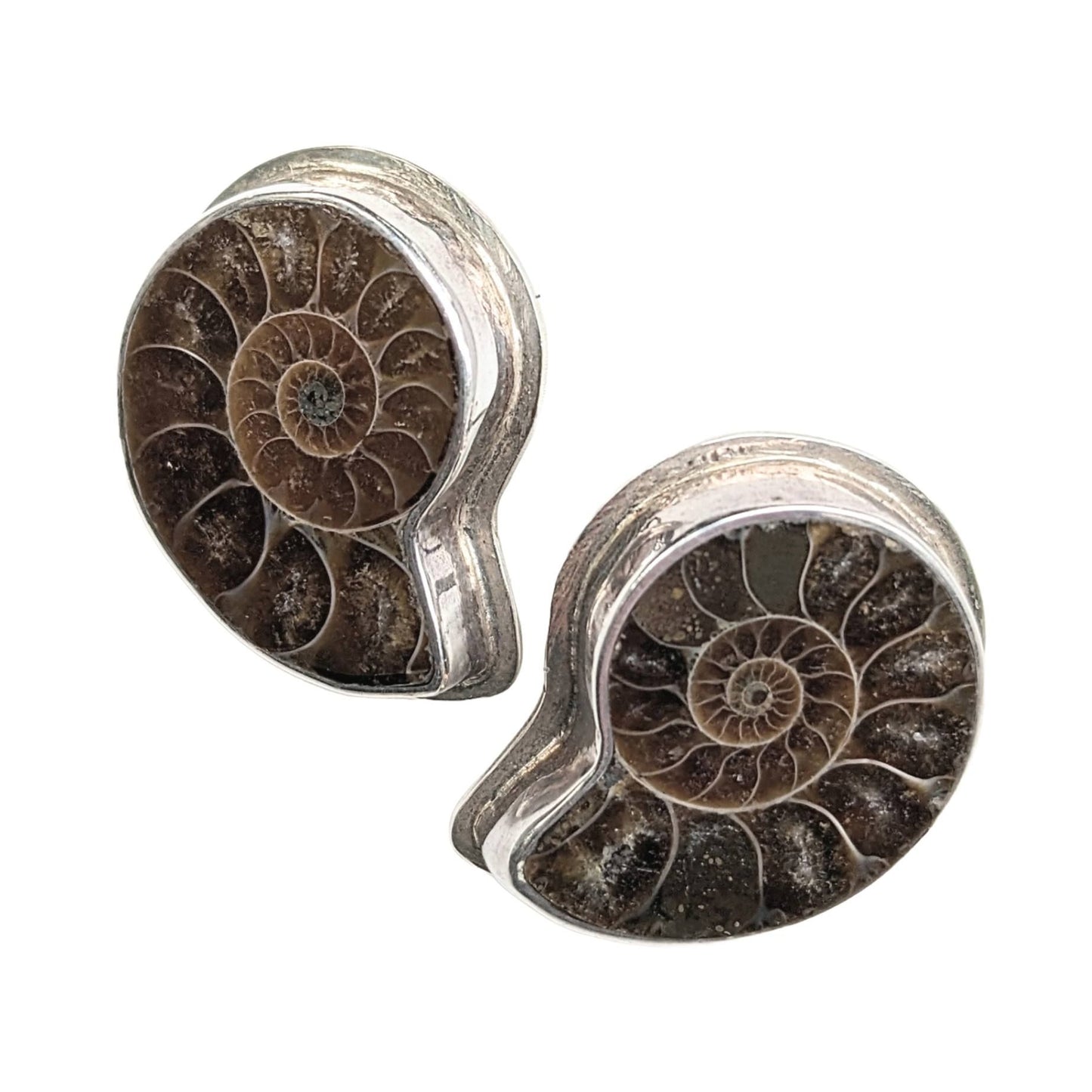 Sterling Silver Ammonite Post Earrings