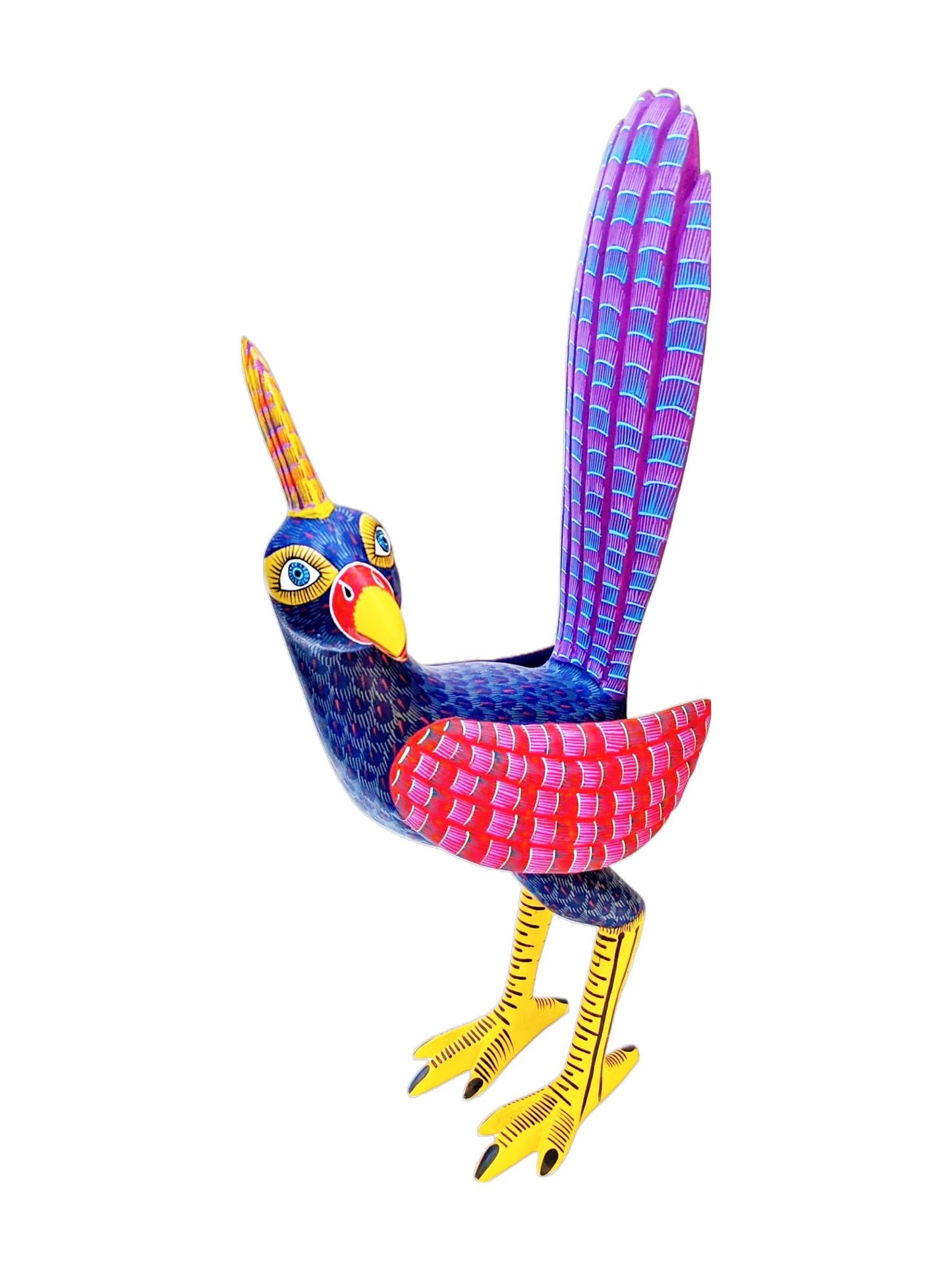 Road Runner with an Attitude